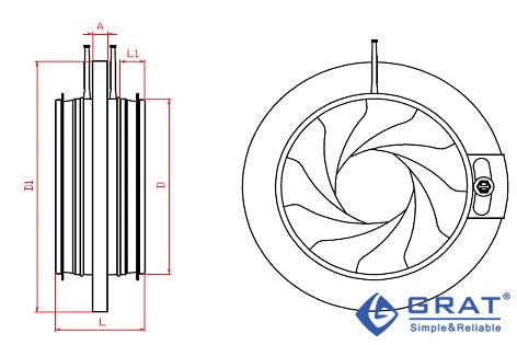 香港公开免费资料大全